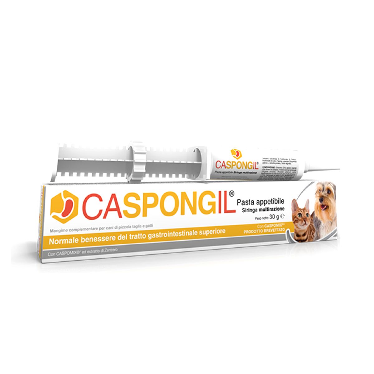 Caspongil Pasta Integratore Animali 30g