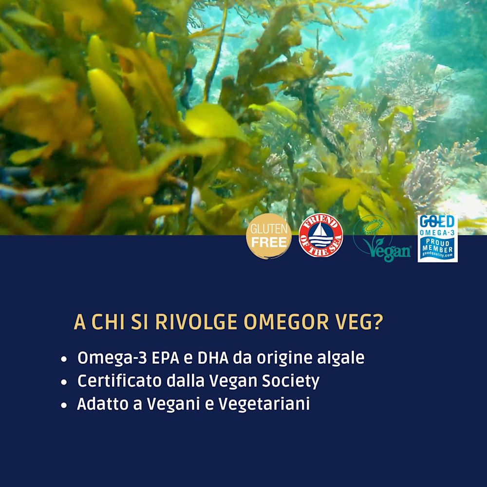 980810206 - OMEGOR VEG 60 CAPSULE - 4745400_6.jpg