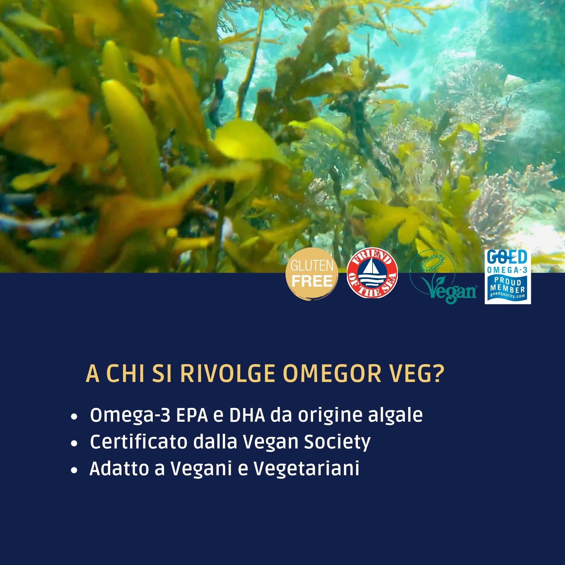 980810206 - OMEGOR VEG 60 CAPSULE - 4745400_6.jpg