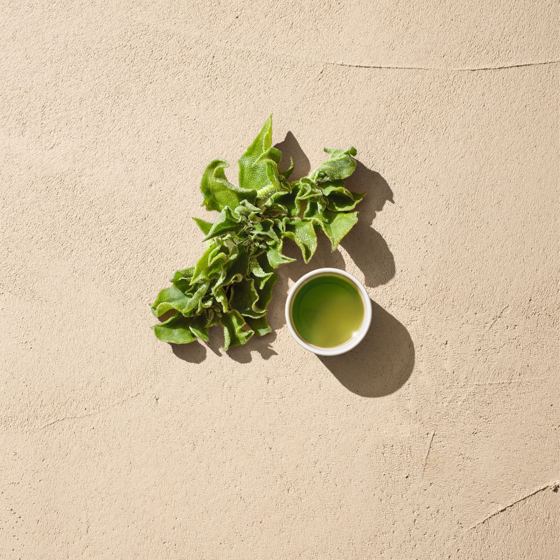 image - 983759111 - DR HAUSCHKA CREMA INTENSIVA ERBA CRISTALLINA 50 ML - 4740182_5.jpg