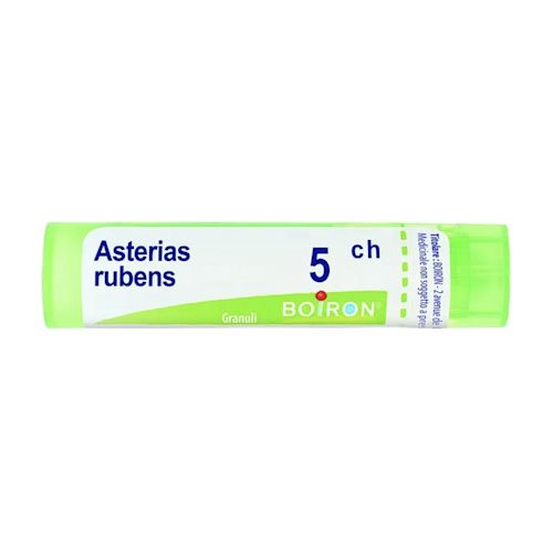 image - 800159612 - Granuli omeopatici Asterias Rubens 5CH da 4g, indicati per uso sublinguale secondo le indicazioni del medico. - 4872830_2.jpg