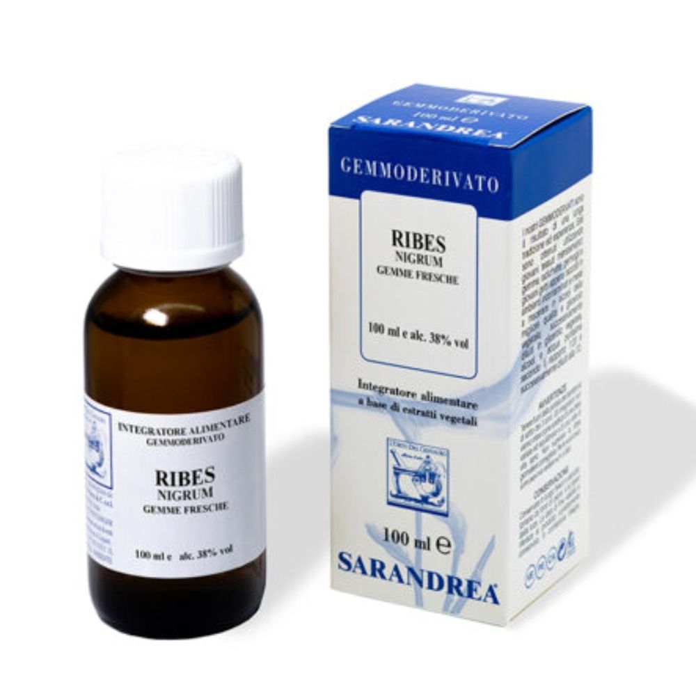 image - 911187918 - RIBES NIGRUM 100 ML MACERATO GLICERICO - 4863391_2.jpg