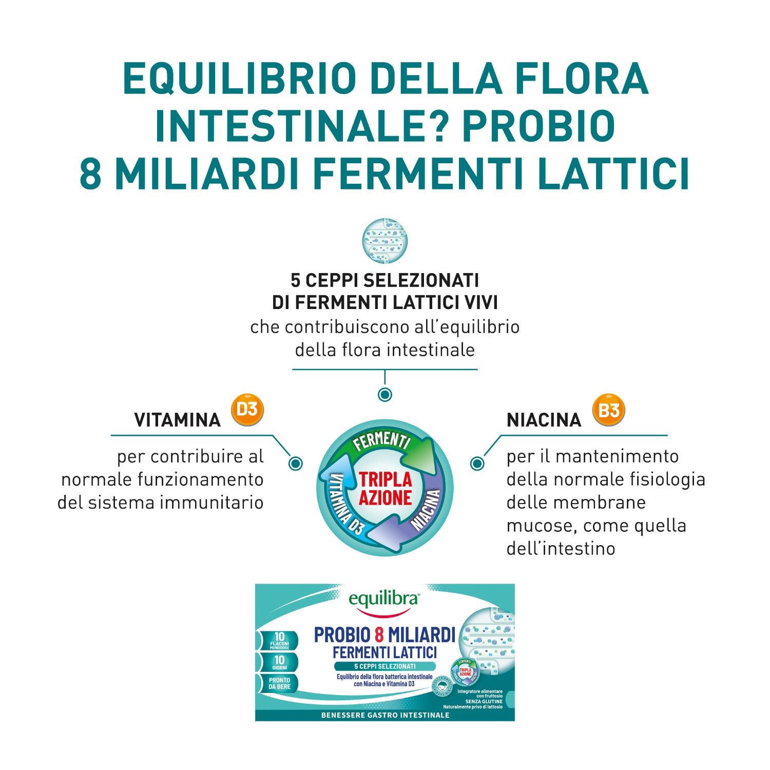 984206262 - Equilibra Probio 8 miliardi Integratore fermenti lattici 10 flaconcini - 4740502_3.jpg