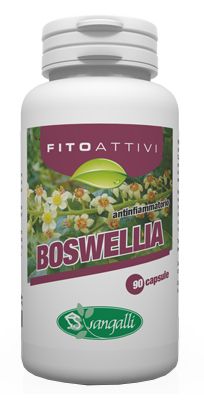 Fitoattivi Boswelia Integratore 90 Capsule