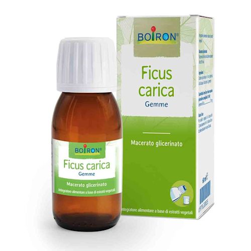 977632025 - Boiron Ficus Carica Macerato Glicerinato 60ml - 4706050_2.jpg