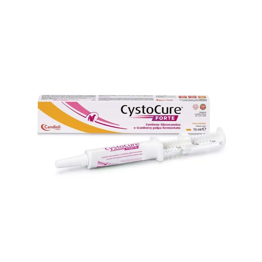 image - 984325908 - CYSTOCURE FORTE PASTA 15 ML - 0006607_1.jpg