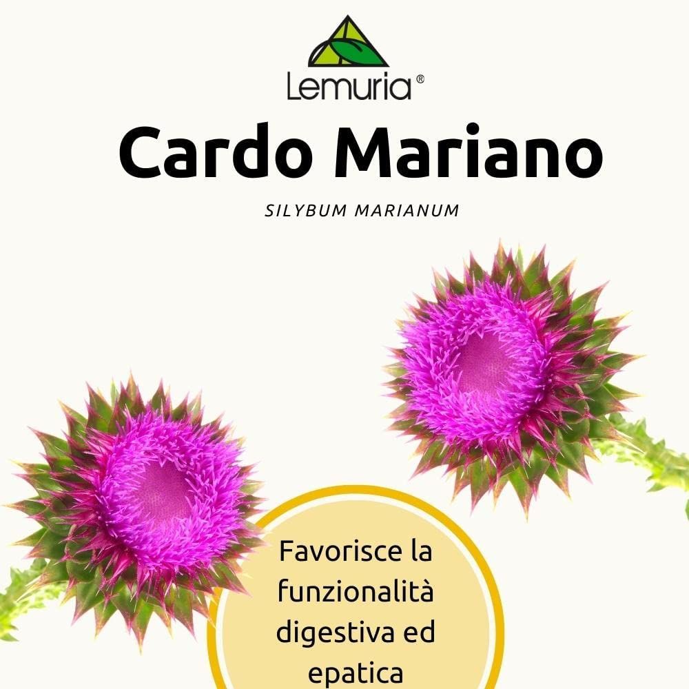906309149 - Cardo Mariano Estratto Totale Integratore fegato 30ml - 7873997_3.jpg