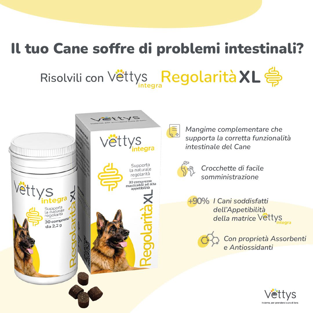 984866208 - Vettys Integra Regolarità XL Cane 30 compresse masticabili - 0005329_4.jpg