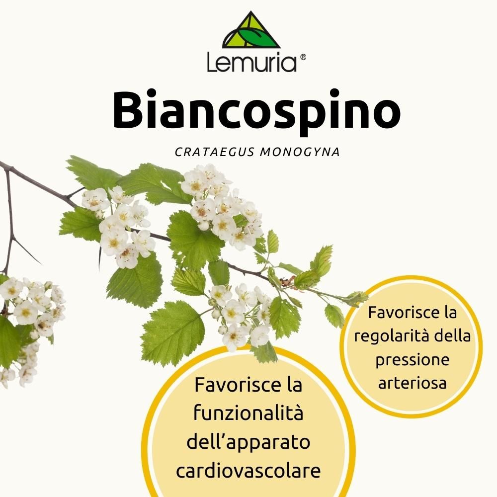 image - 906309125 - Lemuria Et Biancospino Integratore Alimentare 30ml - 7887119_3.jpg