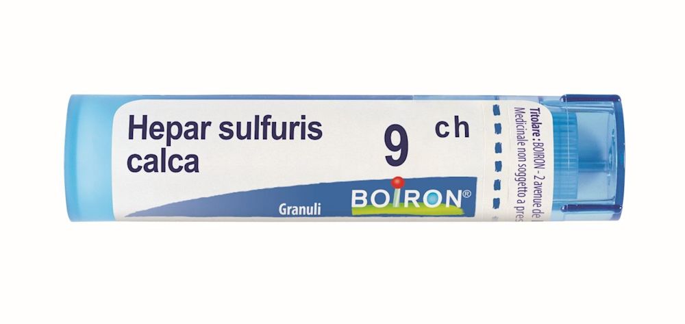 048287458 - Boiron Hepar Sulfuris Calcareum 9ch 80 granuli contenitore multidose - 0001974_1.jpg