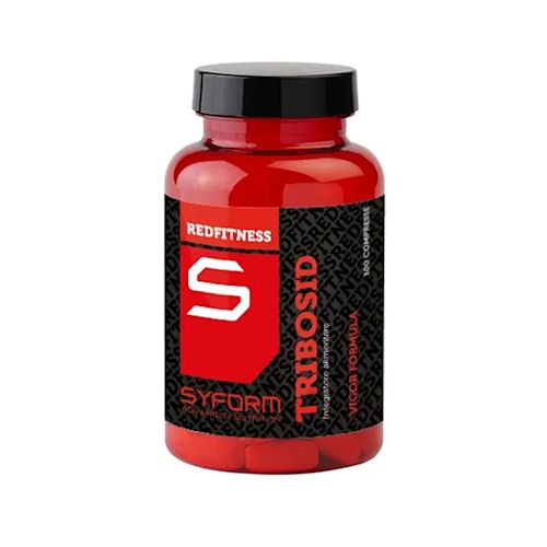 image - 931124960 - Integratore in compresse con estratti vegetali di Tribulus, suma, fieno greco e gynostemma, utile per il benessere generale e l'energia quotidiana. - 4867553_2.jpg