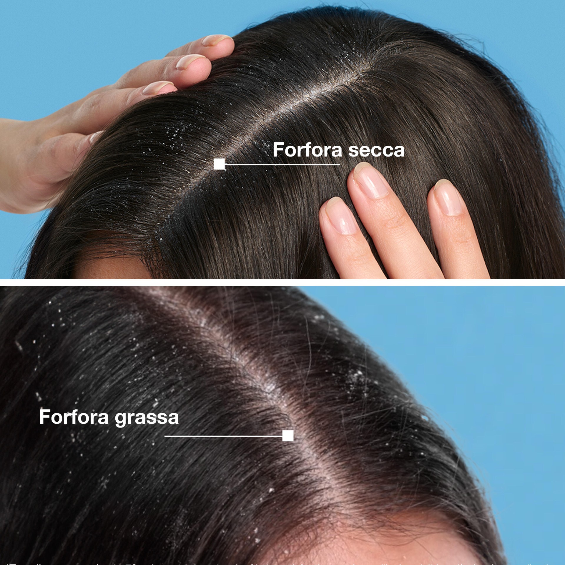 image - 989260892 -  - 4820090_14.jpg