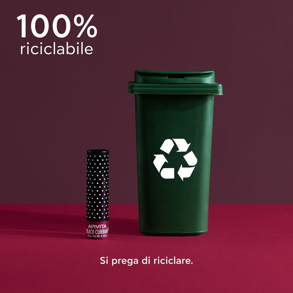 image - 980120467 - APIVITA LIPCARE BLACK CURRANT 4,4 G - 4735887_5.jpg