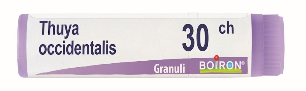 800027219 - Boiron Thuya Occidentalis 30ch Globuli - 7872357_2.jpg