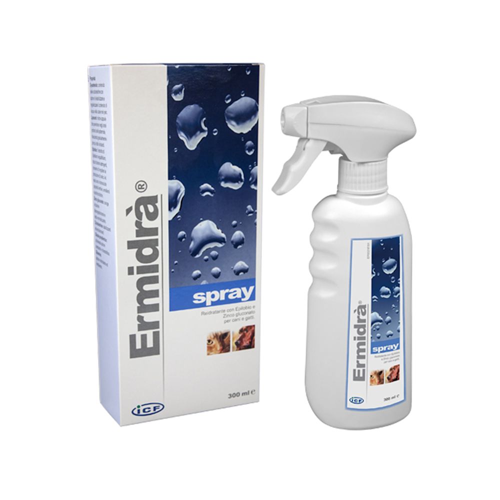 921177655 - ERMIDRA' SPRAY 300 ML - 7883297_1.jpg