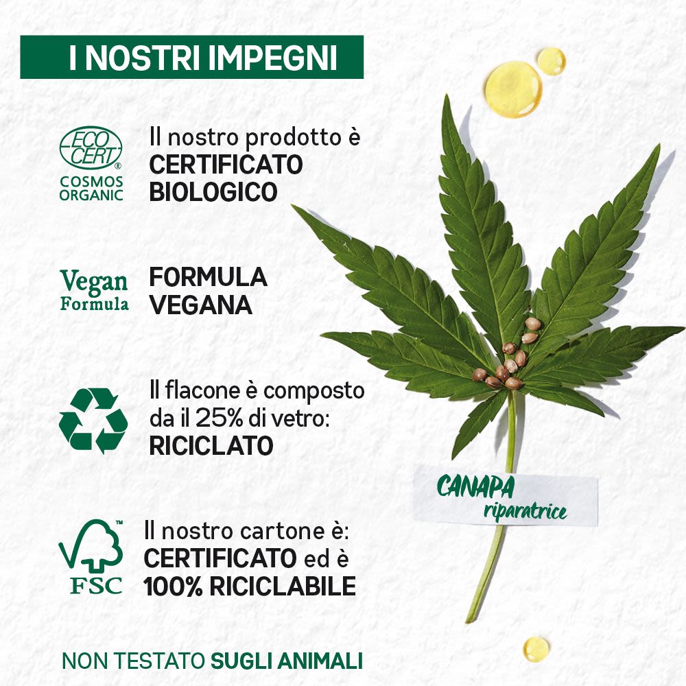 image - 981289440 - Garnier Viso Notte Bio Multi Riparatore pelli stressate prime rughe 30ml - 4737366_4.jpg