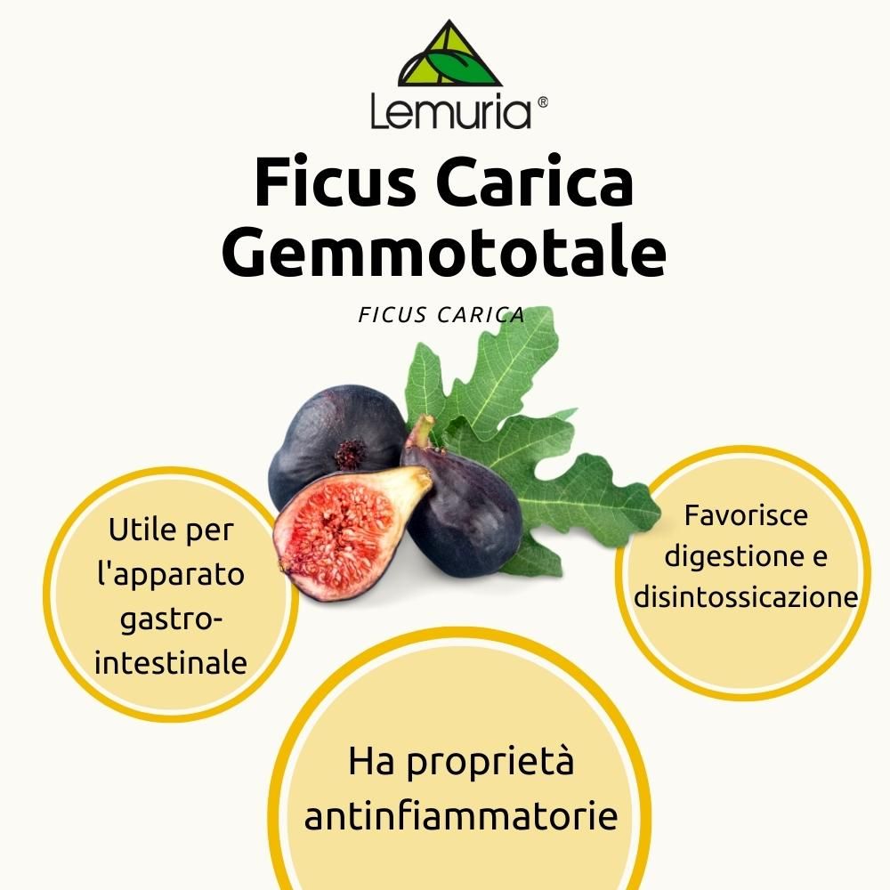 image - 981986134 - Lemuria Ficus Carica Gemmo Totale 100ml - 4738062_2.jpg