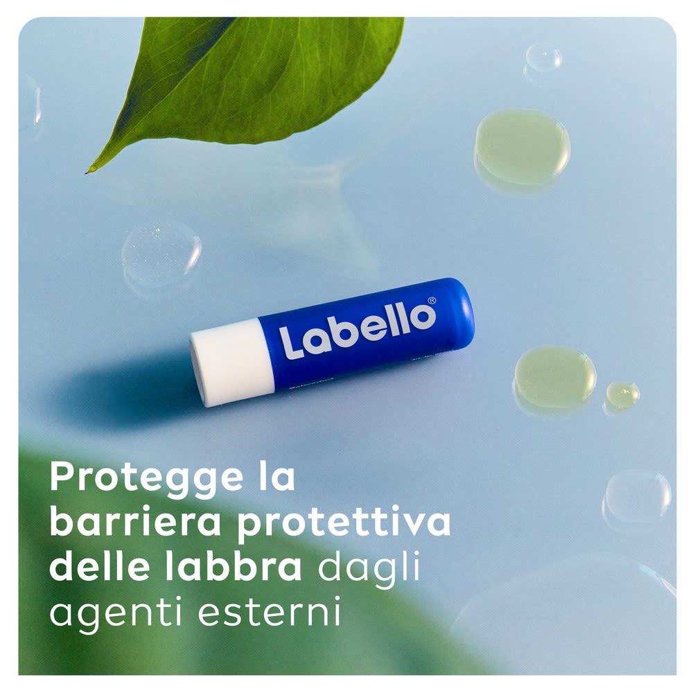 975576315 - LABELLO CLASSIC CARE STICK 24H IDRATAZIONE FONDENTE SULLE LABBRA 5,5 ML - 4732570_6.jpg