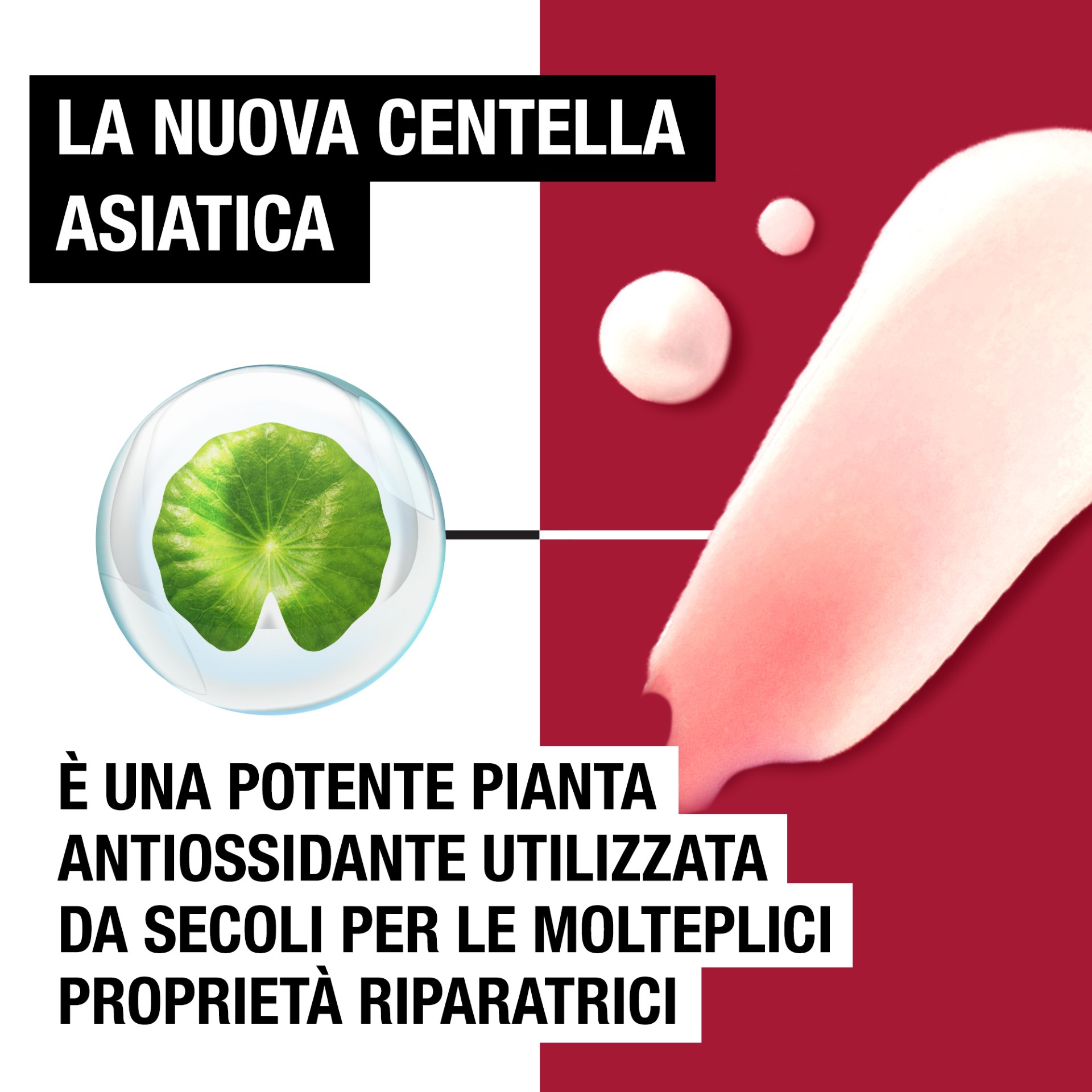 image - 927098830 -  - 4745509_5.jpg