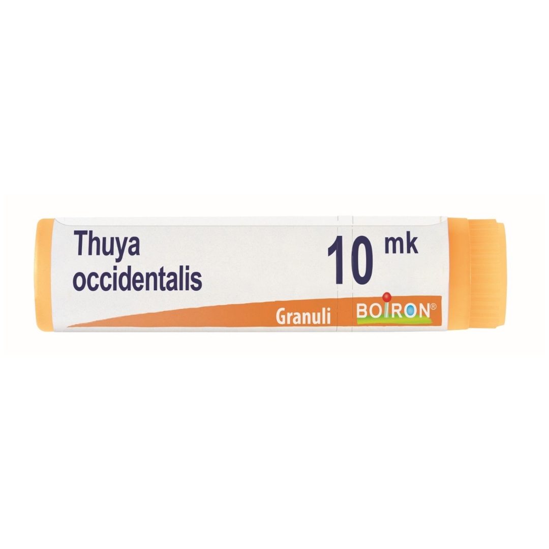 image - 800027245 - THUYA OCCIDENTALIS XMK GLOBULI 1G - 7882806_3.jpg