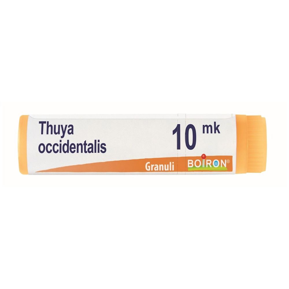 image - 800027245 - THUYA OCCIDENTALIS XMK GLOBULI 1G - 7882806_3.jpg