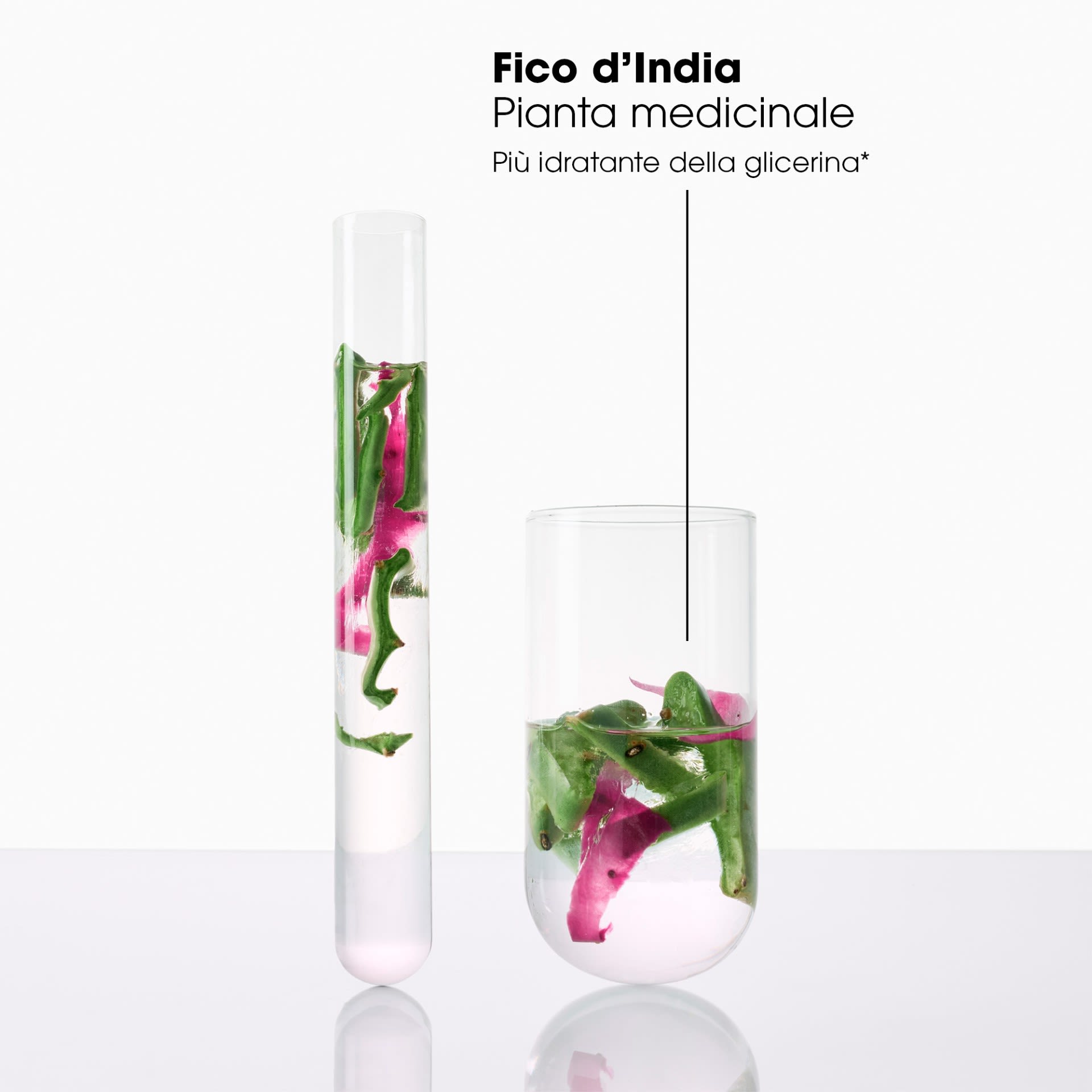 image - 987964689 - KLORANE SHAMPOO FICO D'INDIA 200 ML - 4779105_6.jpg