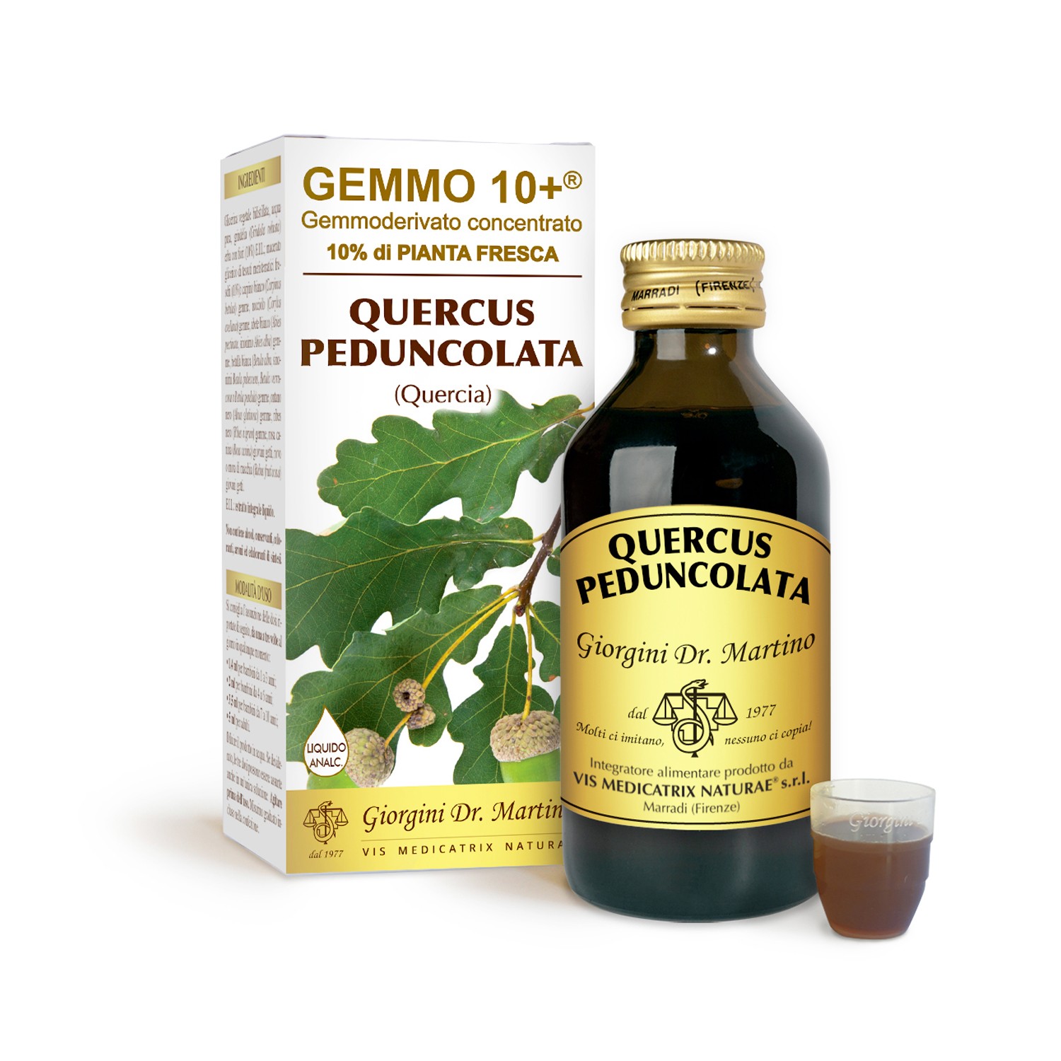 image - 924548100 - Integratore alimentare analcolico a base di gemme fresche di quercia, utile per contrastare la stanchezza fisica e mentale, adatto anche ai bambini. - 4867460_2.jpg