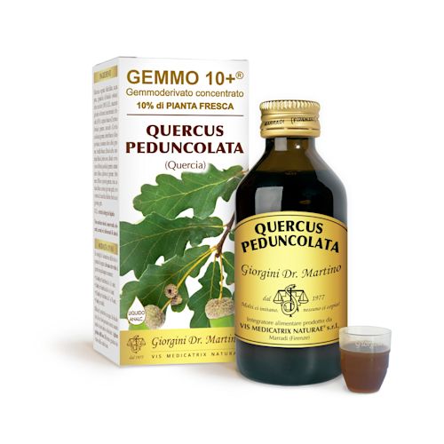 image - 924548100 - Integratore alimentare analcolico a base di gemme fresche di quercia, utile per contrastare la stanchezza fisica e mentale, adatto anche ai bambini. - 4867460_2.jpg