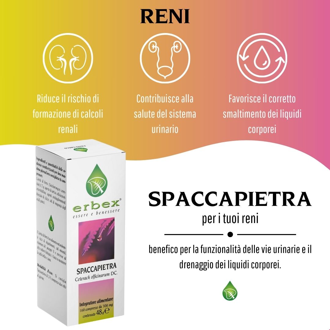 image - 908371267 - SPACCAPIETRA 160 COMPRESSE - 4716044_8.jpg