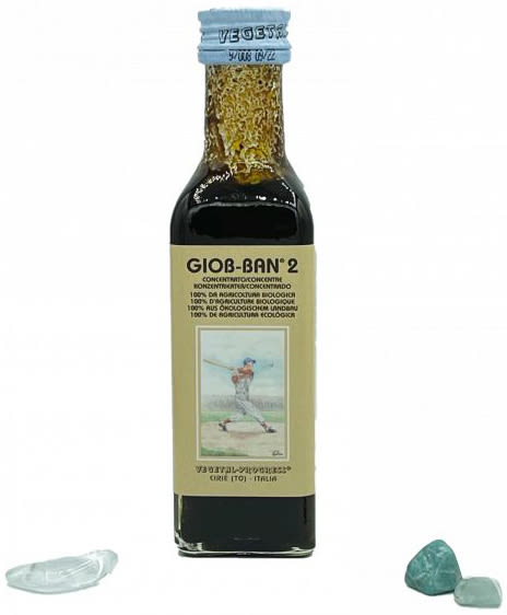 image - 931944971 - Estratto concentrato biologico di lacrima di Giobbe, carruba, zenzero, curcuma, barbabietola e pera, utile per il benessere articolare e l'energia, adatto a vegani e vegetariani. - 4867589_1.jpg