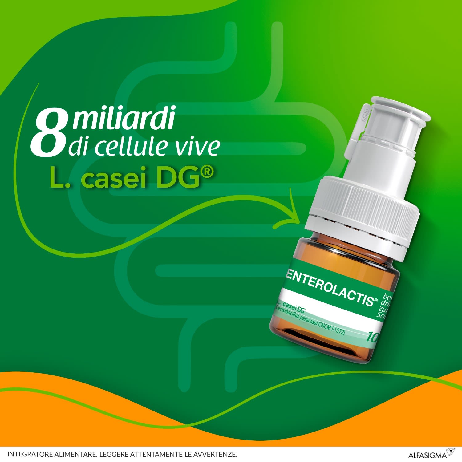 986286906 - ENTEROLACTIS BEVIBILE 12 FLACONCINI X 10 ML - 4745581_5.jpg