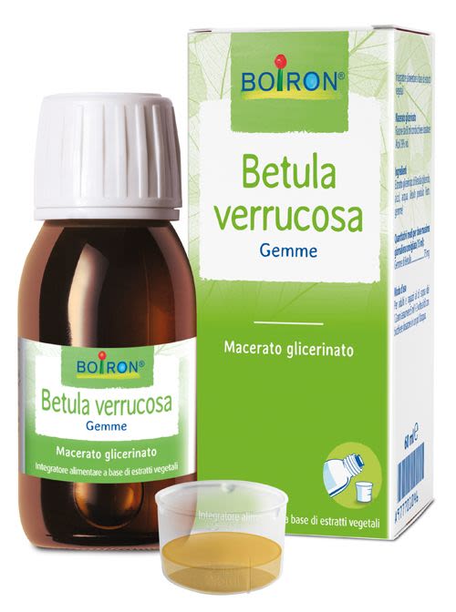 977701046 - Boiron Betula Verrucosa 60ml - 4707344_2.jpg