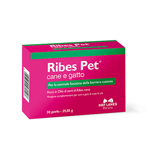 909108363 - RIBES PET BLISTER 30 PERLE - 7869590_1.png