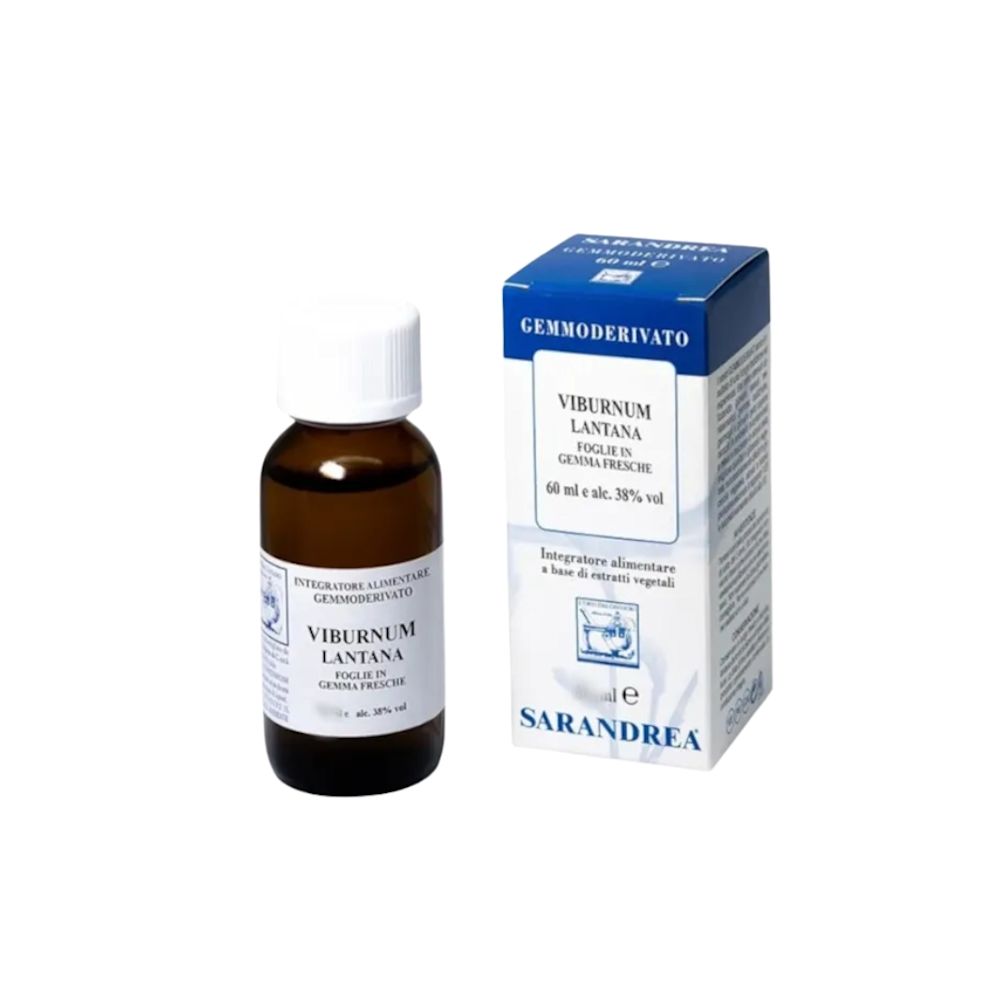 image - 911189823 - VIBURNUM LANTANA 100 ML MACERATO GLICERICO - 4865480_1.jpg