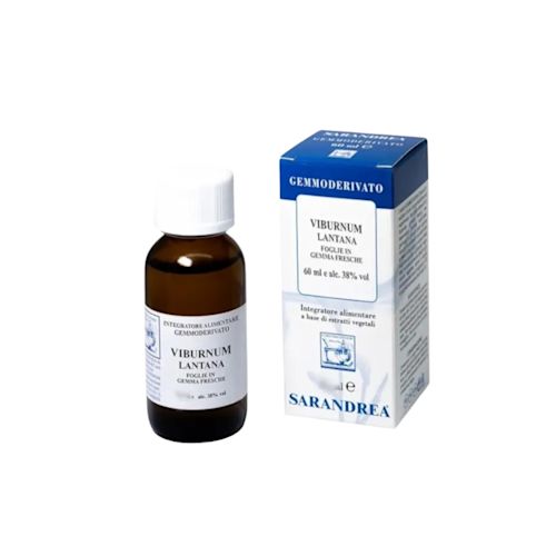 image - 911189823 - VIBURNUM LANTANA 100 ML MACERATO GLICERICO - 4865480_1.jpg