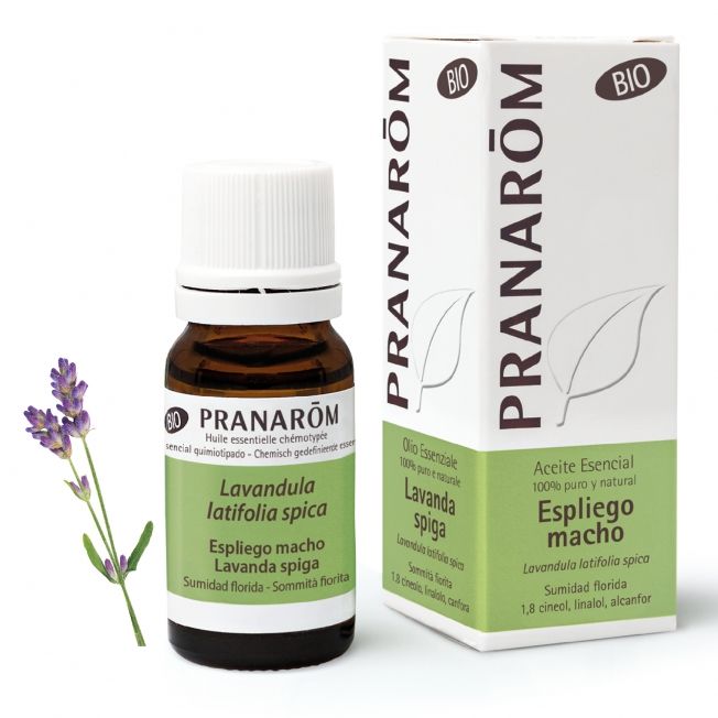 Pranarom Olio Essenziale Bio Lavanda Spica 10ml