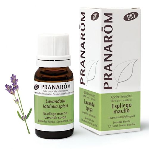 926848173 - Pranarom Olio Essenziale Bio Lavanda Spica 10ml - 4721139_1.jpg