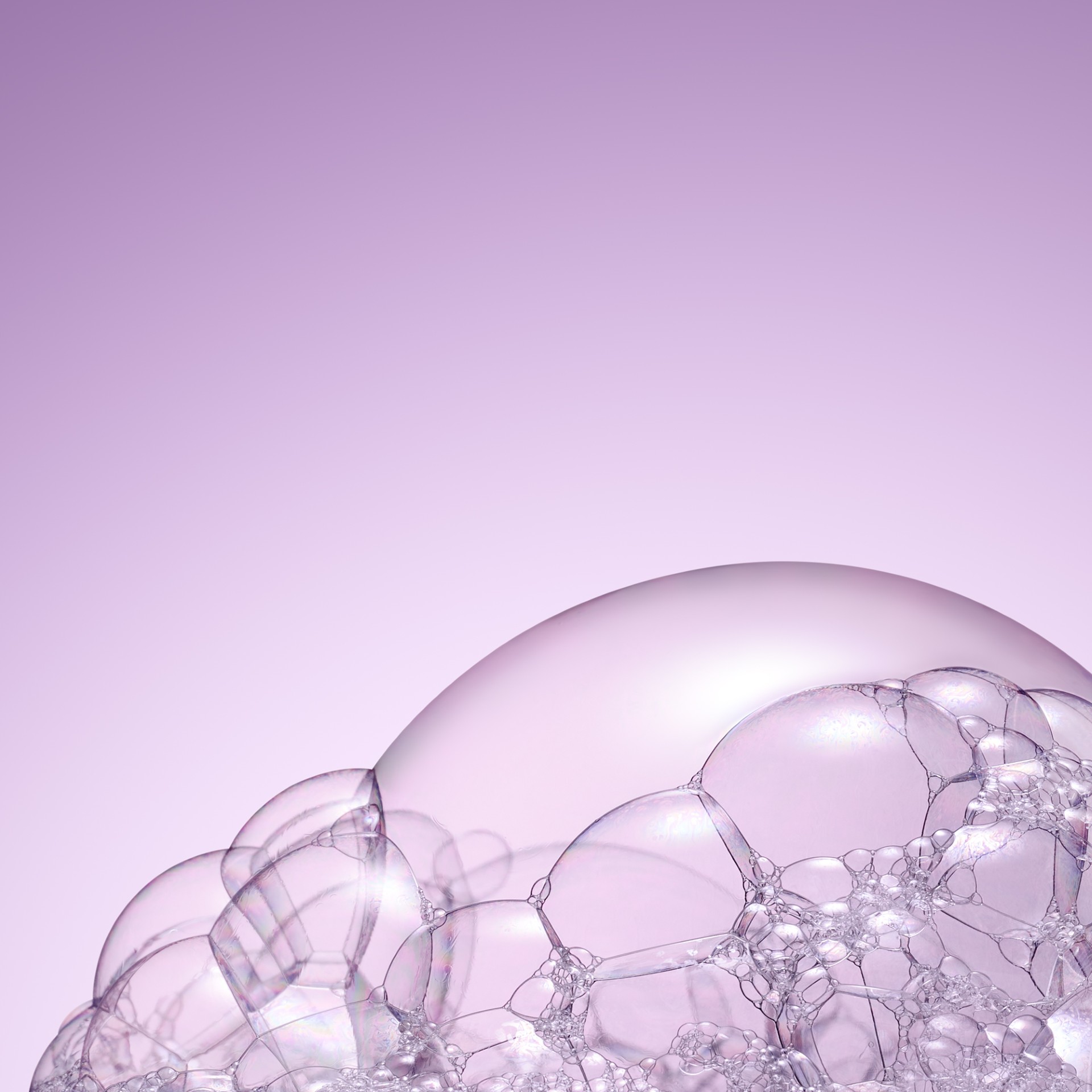 988024547 - NUXE HAIR PRODIGIEUSE SHAMPOO 200 ML - 4752617_12.jpg