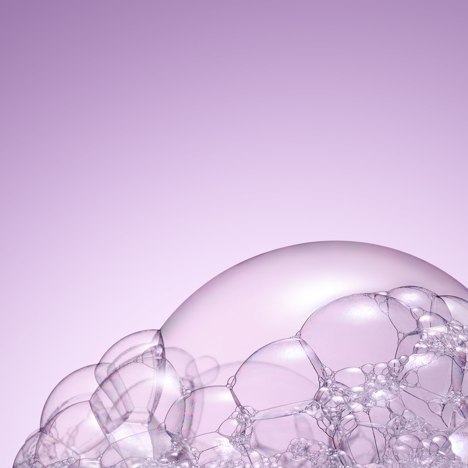 image - 988024547 - NUXE HAIR PRODIGIEUSE SHAMPOO 200 ML - 4752617_12.jpg