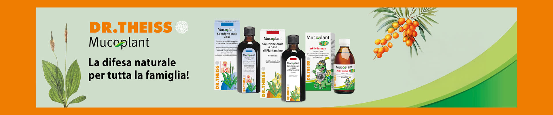 Promo Dr. Theiss