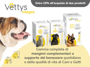 Promo Vettys