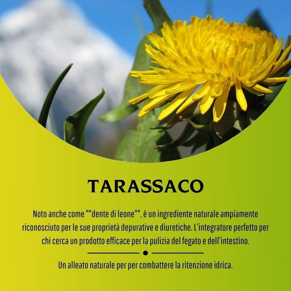 902193806 - TARASSACO 100 CAPSULE 430 MG - 4713527_5.jpg