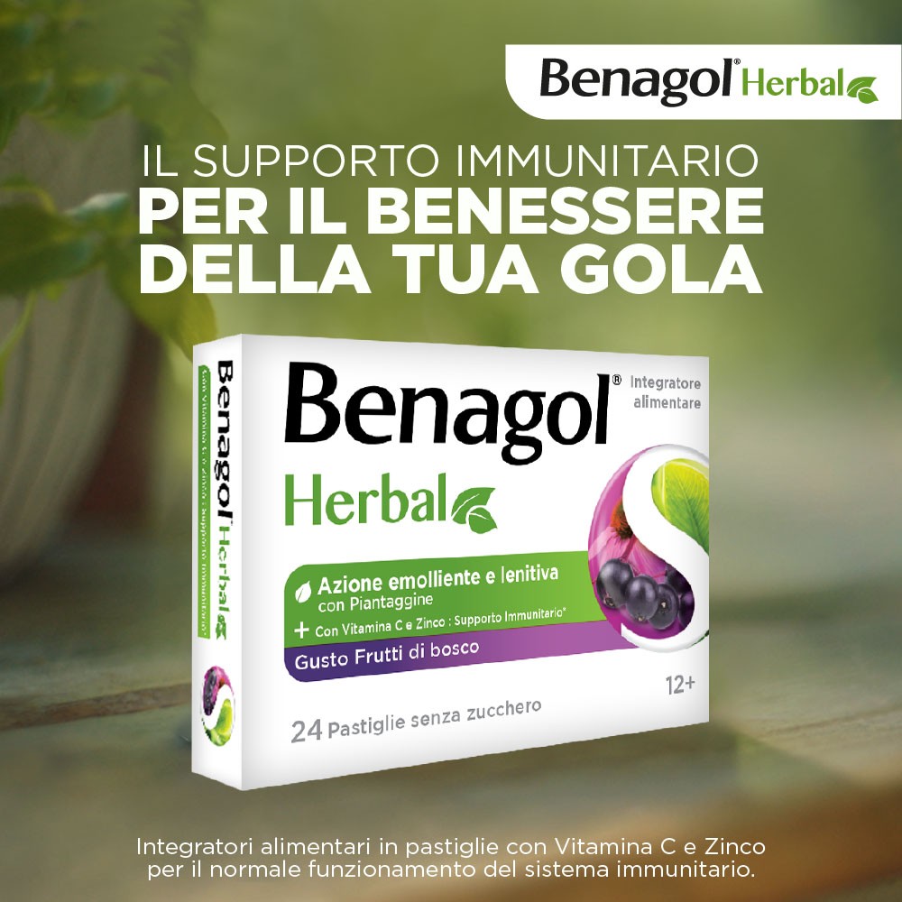 983032071 - BENAGOL HERBAL FRUTTI DI BOSCO 24 PASTIGLIE - 4710155_8.jpg