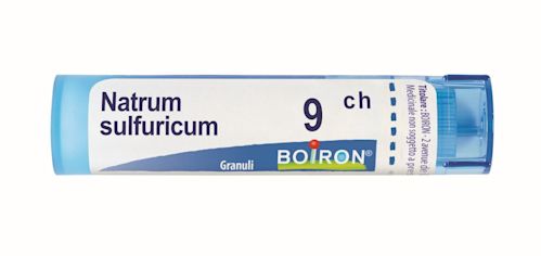 046625669 - Boiron Natrum Sulfuricum 9ch Granuli - 0001316_1.jpg
