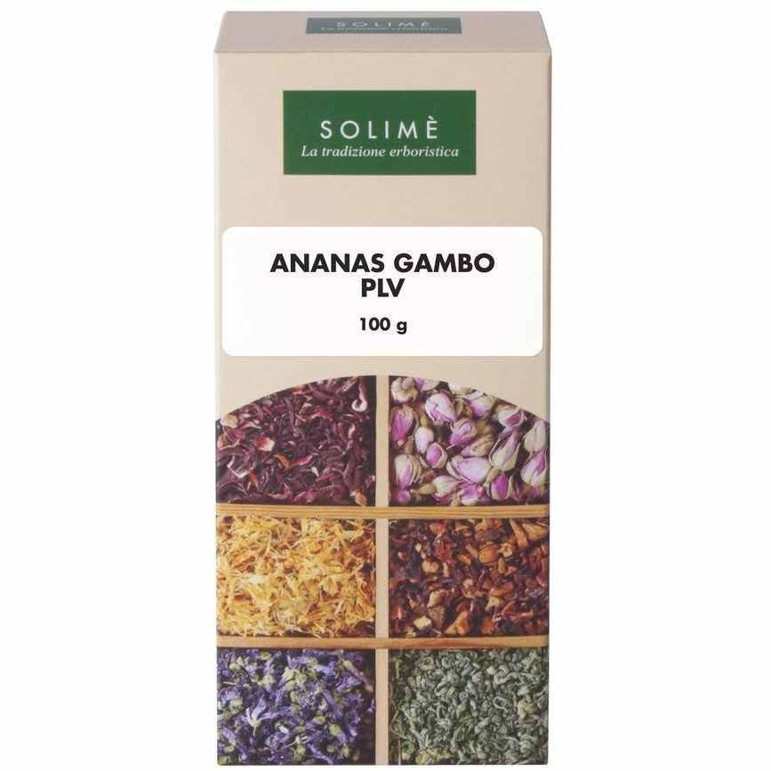 Solimè Ananas Gambo Polvere 100g