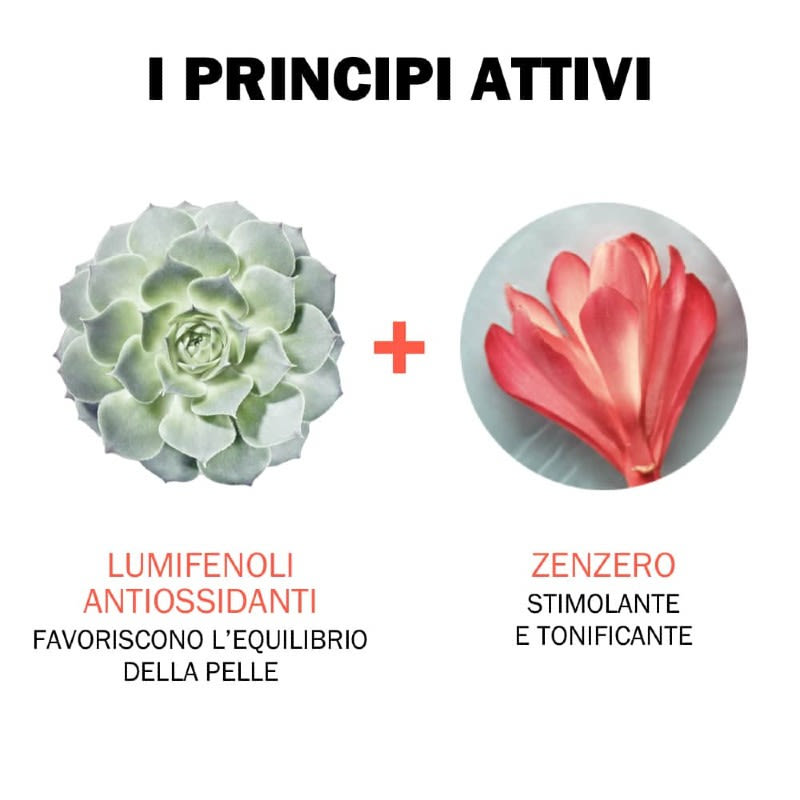 978594404 - Jowaé Gel Doccia idratante Stimolante corpo allo Zenzero 200ml - 4734813_5.jpg