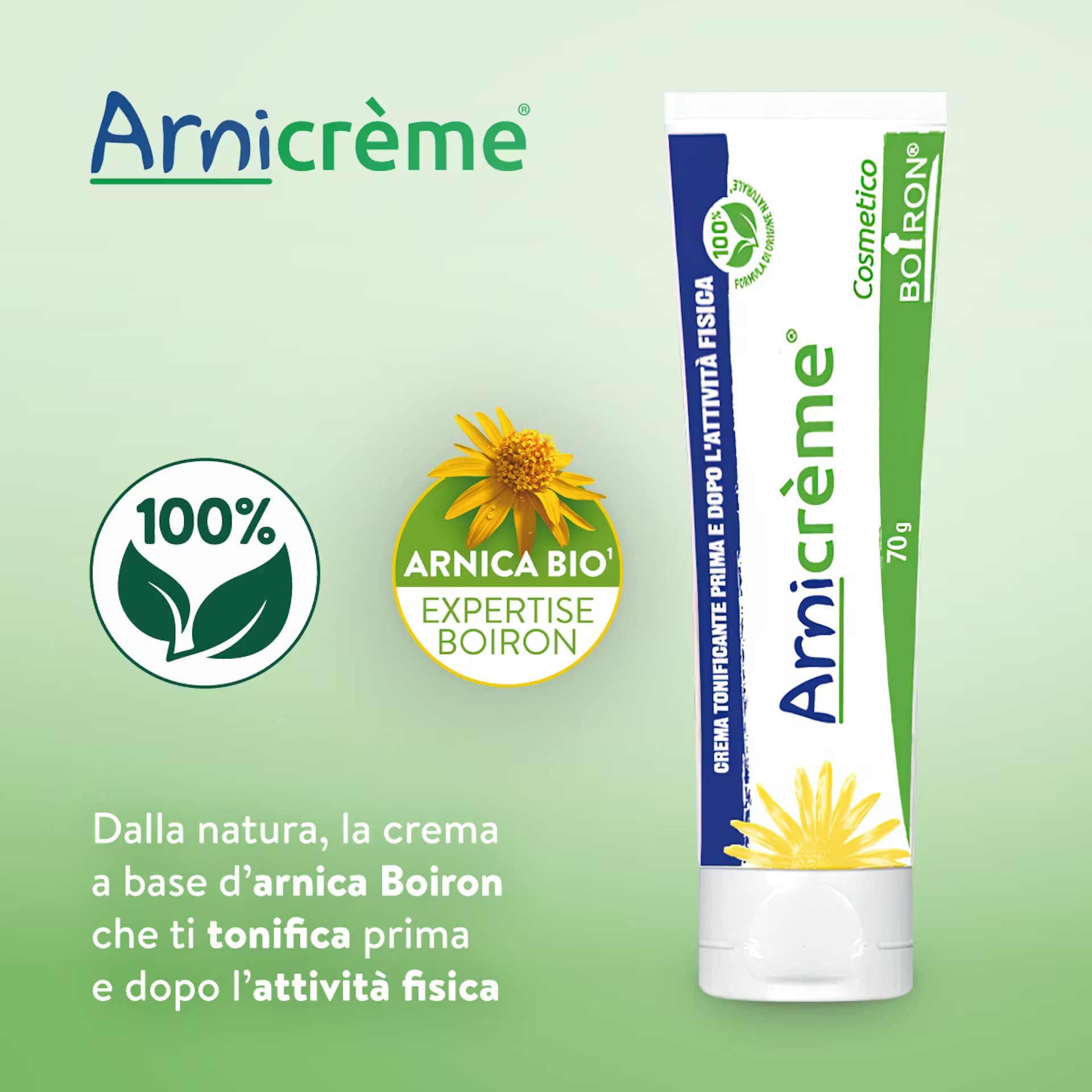 image - 986333742 - ARNICREME NF 70 G - 4761341_2.png