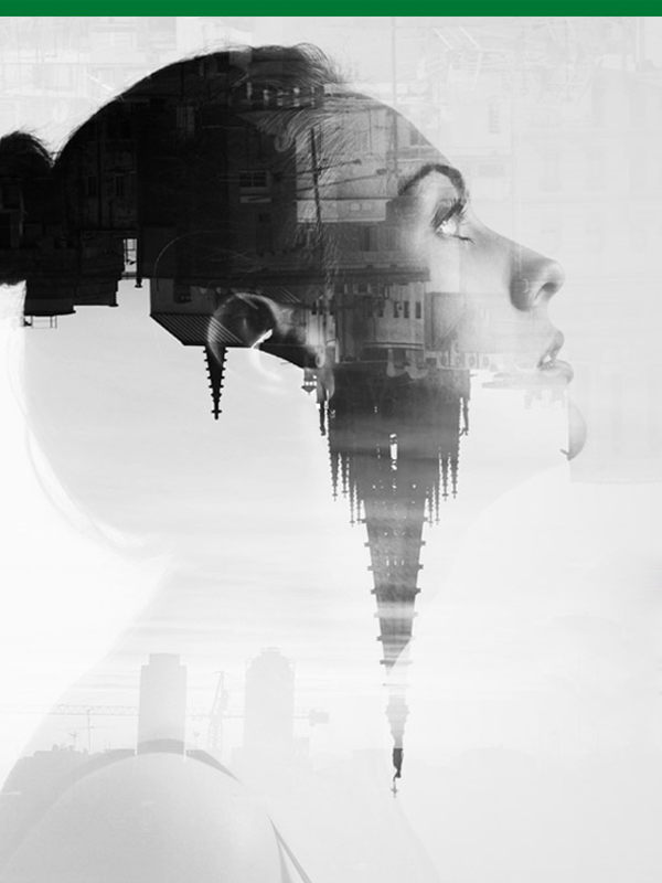 image - Vanda Banner sx