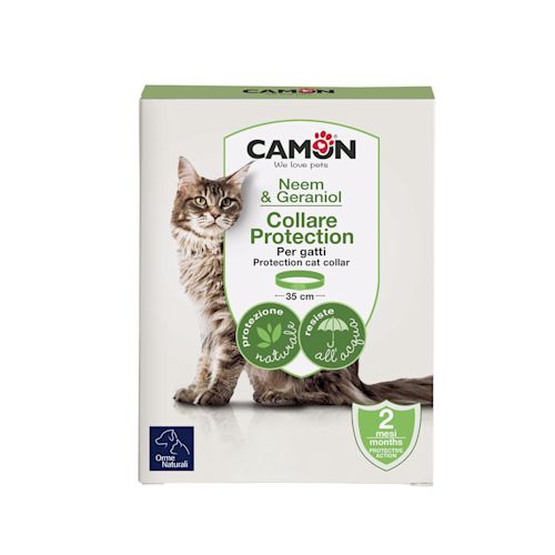 920586904 - PROTECTION COLLARE BARRIERA GATTO - 0006528_1.jpg