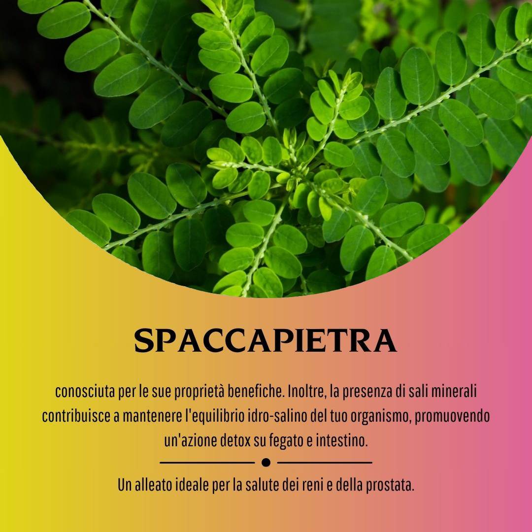 image - 908371267 - SPACCAPIETRA 160 COMPRESSE - 4716044_5.jpg